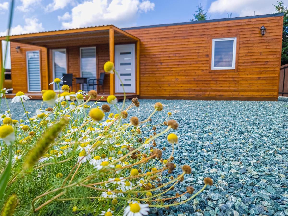 Cosa Nostra Apartman Sárvár Exteriör bild